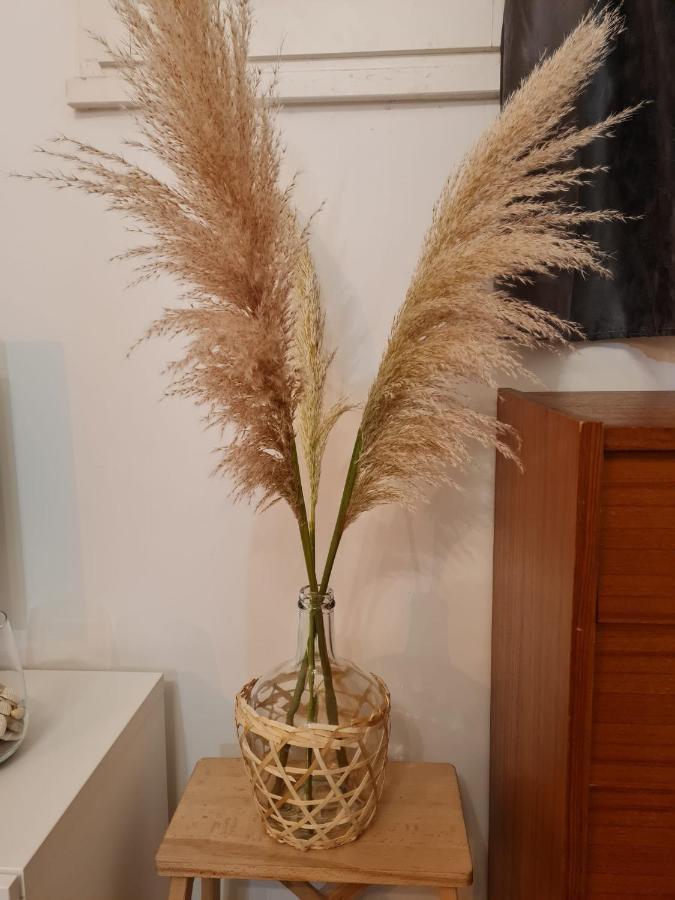 Sete T2 Cosy Et Chaleureux Quartier Gare Appartement Buitenkant foto